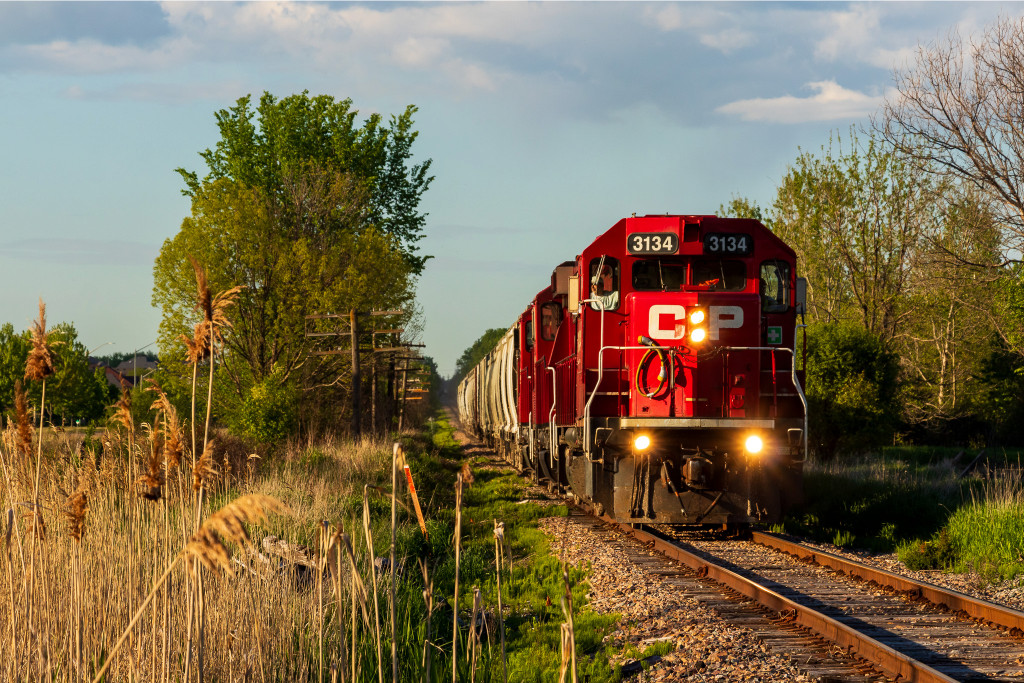 CP 3134